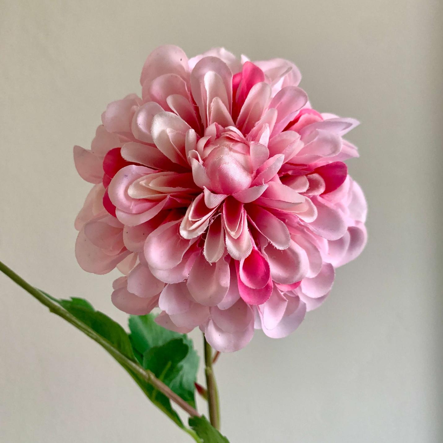 Zijden bloem Dahlia Hillcrest roze; Afbeelding: 3