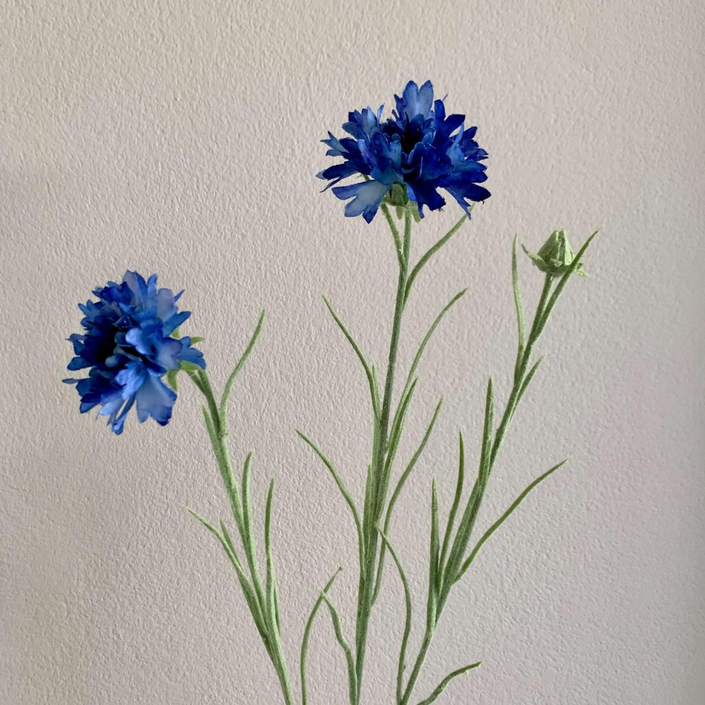 Zijden Korenbloem blauw