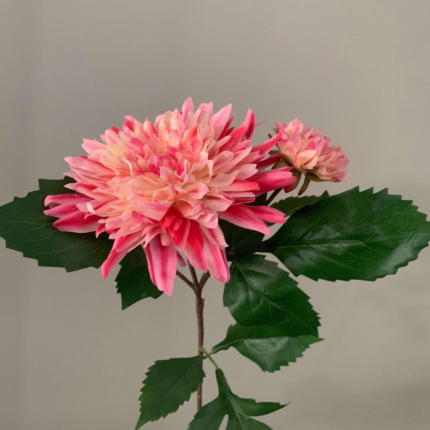 Zijden bloem Dahlia Sonic; Afbeelding: 2