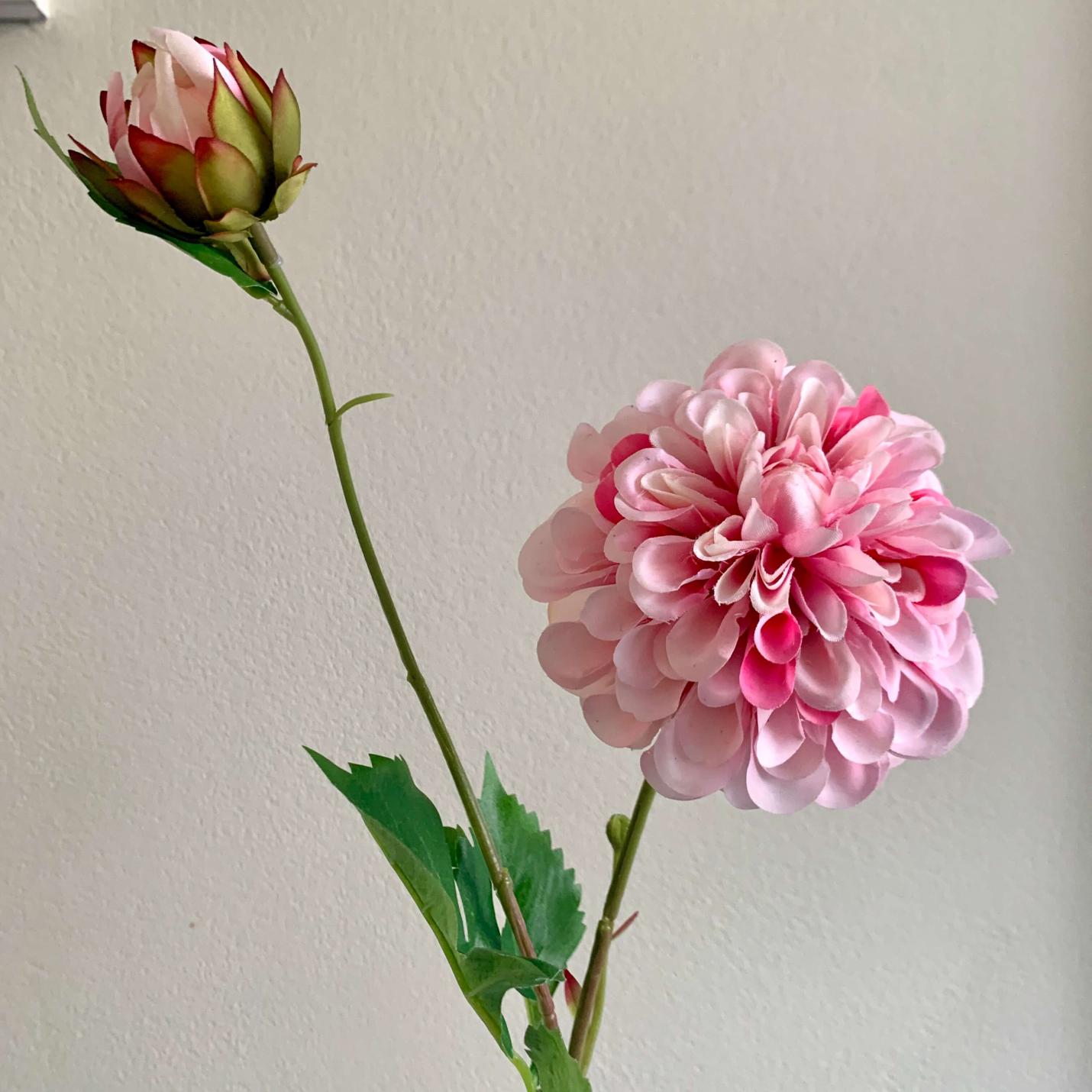 Zijden bloem Dahlia Hillcrest roze; Afbeelding: 2