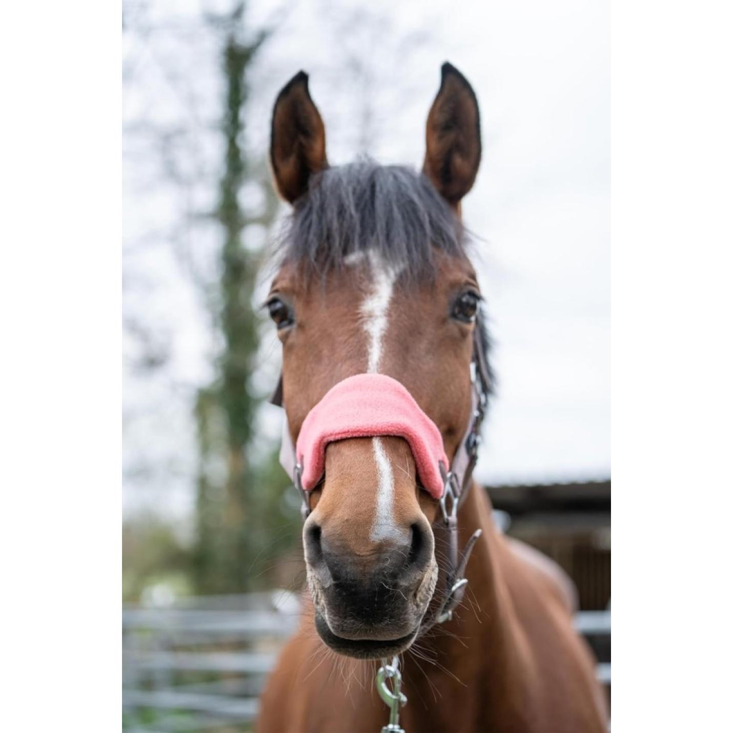 Holster met gebreide karabijnhaak & vliegenfranjes, grijs/roze, pony - happygetfit.com