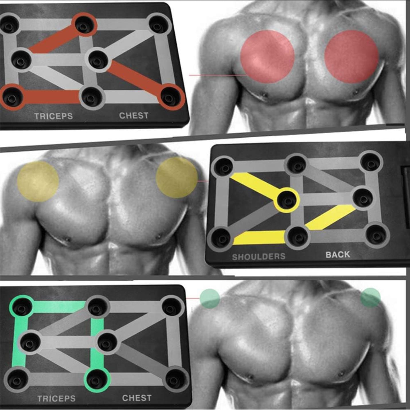 Een illustratieve gids die gerichte spiergroepen laat zien tijdens complete trainingsoefeningen, gemarkeerd op het bovenlichaam van een fit persoon met behulp van het Thuis Trainen Voor Een Sterk En Gespierd Lichaam.