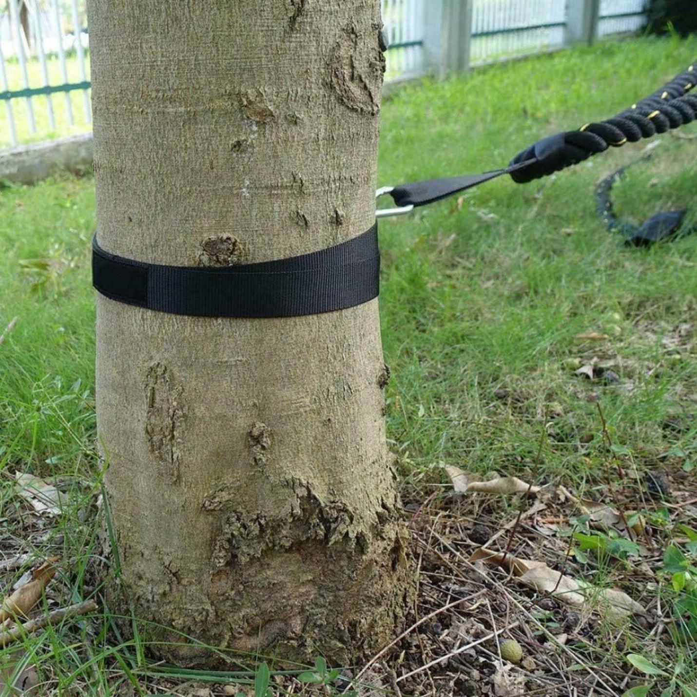 Boomstam vastgezet met een zwarte riem verbonden aan een Versterk je strijdtouwtraining met de battlerope ankerkit gespannen kabelsysteem.