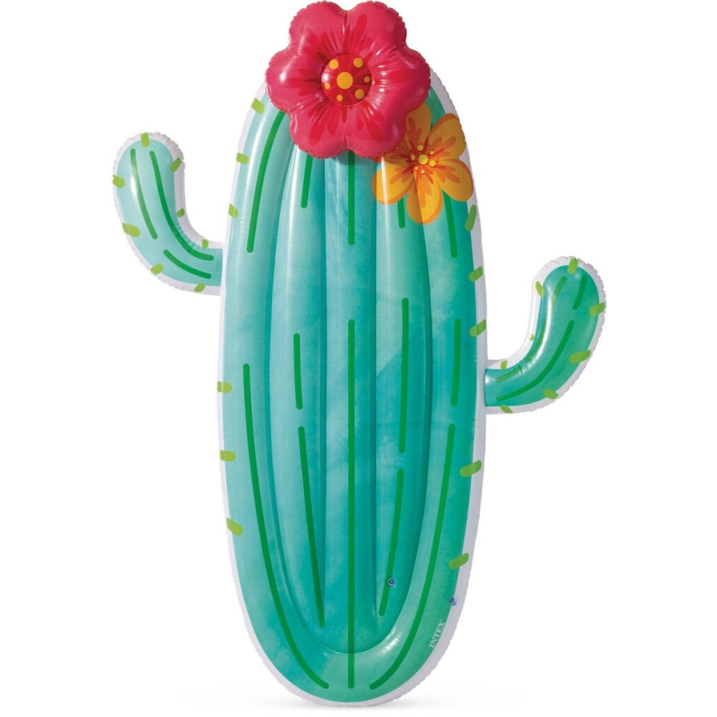 Intex 58793Eu Cactus Float