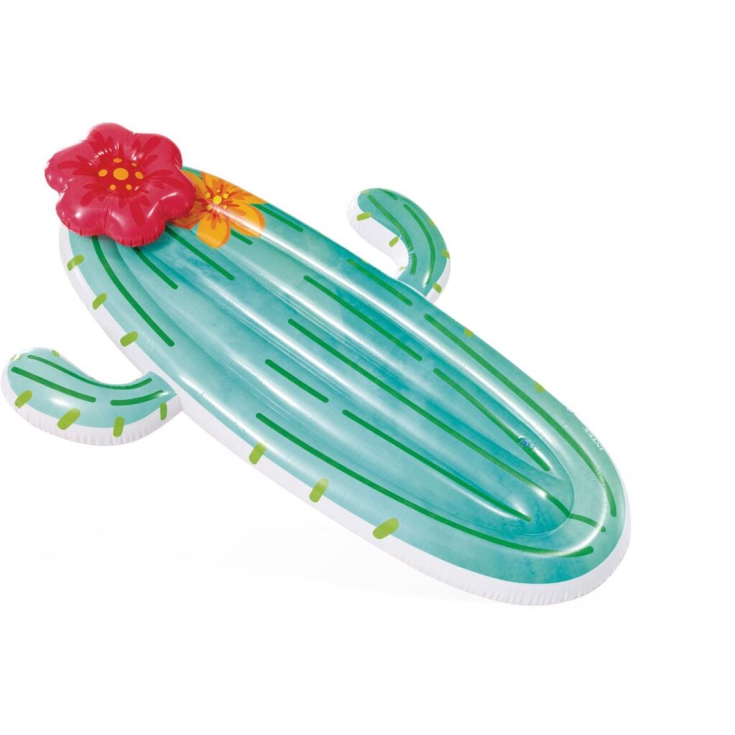 Intex 58793Eu Cactus Float