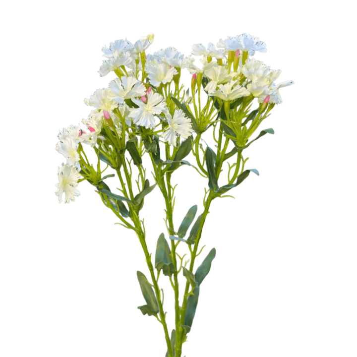 Zijden bloem Royal Dianthus wit