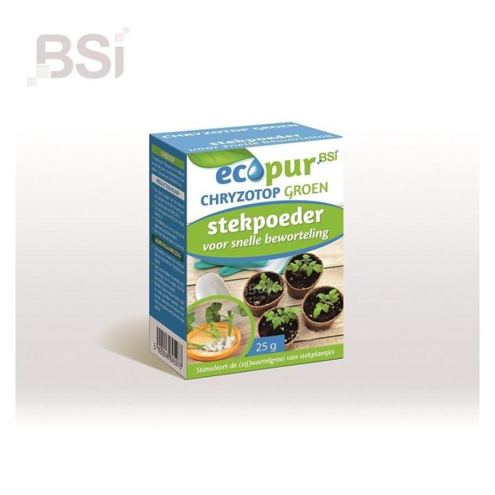 BSI Ecopur Chryzotop Groen Stekpoeder| 25g