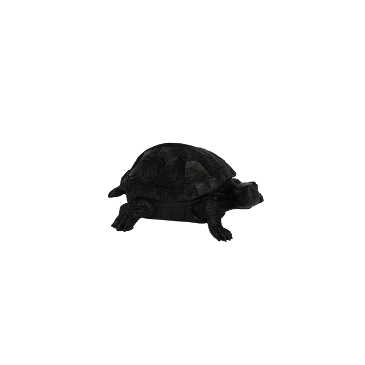 Housevitamin Schildpad Box Zwart